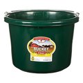 Little Giant Little Giant 7403975 8 qt. Round Plastic Bucket - Green 7403975